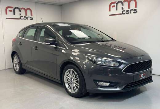 Ford 1.0 EcoBoost bwj2018 Trekhaak 1ste eigenaar Gara ...