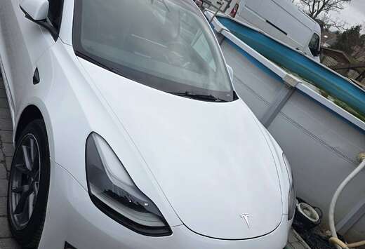 Tesla Model 3 78 kWh AWD Long Range Dual Motor (366kW ...