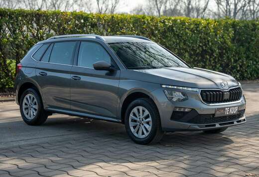 Skoda Kamiq 1.0 TSI Selection DSG