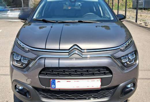 Citroen Max, shine