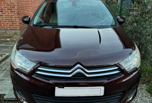 Citroen Zie Beschrijving