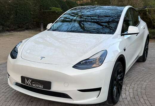 Tesla RWD/ 20 wheels/ Autopilot/ Trekhaak