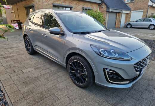 Ford 2.5 Duratec FHEV VIGNALE 190 pk