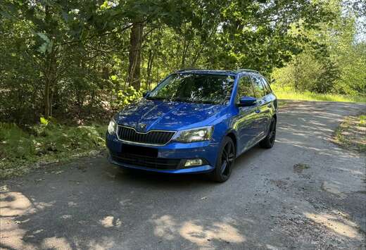Skoda SW 1.4 CR TDi Ultimate Clever
