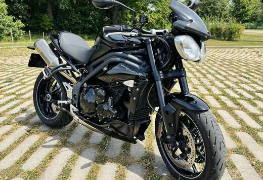Triumph Edition 94R - 20e Anniversaire