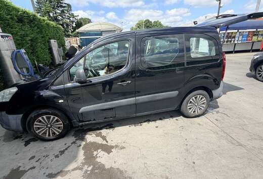 Peugeot Tepee 1.6 HDi Access