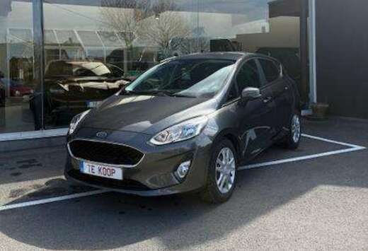 Ford Fiesta 1.0 EcoBoost Titanium (EU6.2)