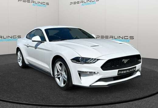 Ford 2.3 EcoBoost AUTOMAAT