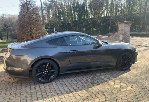 Ford Mustang Fastback 2.3 Eco Boost
