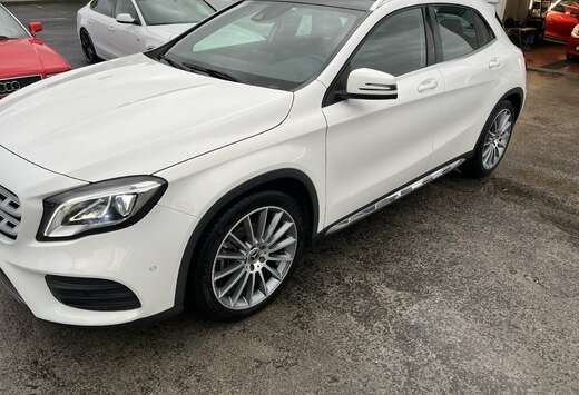 Mercedes-Benz Business Solution AMG (EU6.2)