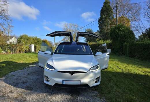 Tesla PERFORMANCE  Raven version(100 KWH )