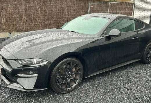 Ford Mustang+Fastback+2.3+Eco+Boost