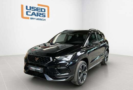 DSG+Dinamica+Pano+RearView