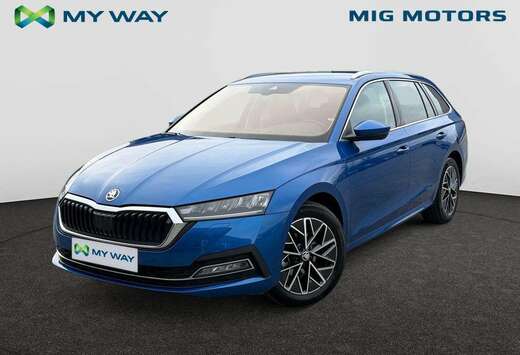 Skoda Limited Family Plus Edition 1.0 TSI MHEV (110pk ...