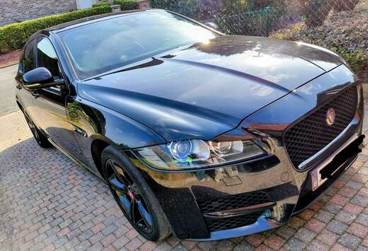 Jaguar XF  R-Sport  2.0 T Essence