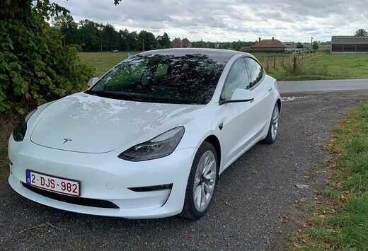 Tesla Langstreckenbatt. Allradantrieb Dual Motor Perf ...