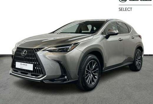 Lexus Executive Line + HUD