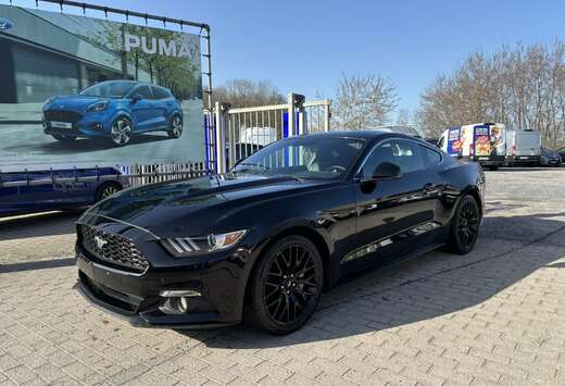 Ford EcoBoost 317pk / manueel