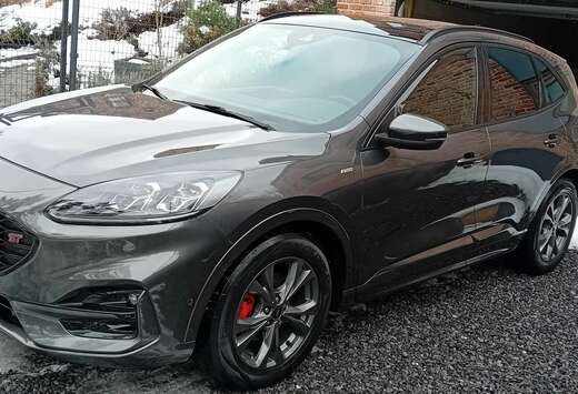 Ford Kuga 2.5 EcoBoost FWD FHEV ST-Line X (EU6d)