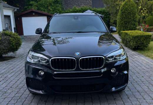 BMW X5 2.0 dA sDrive25