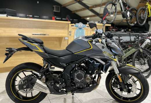 525R GRIS