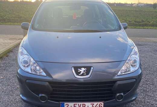 Peugeot 307 90 Filou