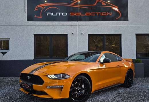 Ford 2.3i  B&O  COCKPIT  TRACK APP  ECL. AMBIANT