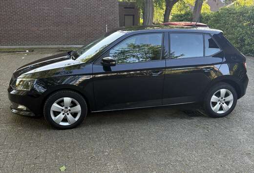 Skoda 1.0 TSI ultimate -1ste Eigenaar