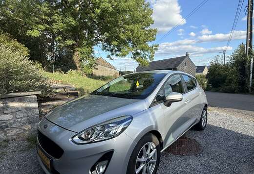 Ford 1.0 EcoBoost Business Class Carplay