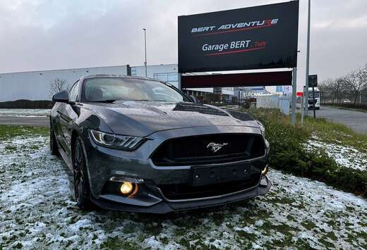 Ford GT automaat 5.0 V8 422pk // 1 eigenaar, onderhou ...