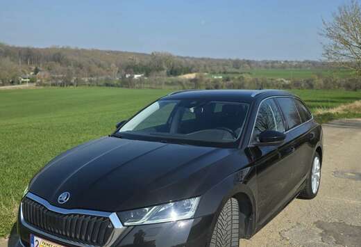 Skoda SW 2.0 TDi SCR Style DSG (EU6AP)