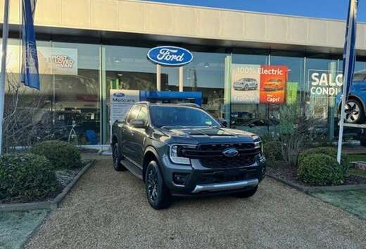 Ford 2.0 Biturbo 205pk WILDTRAK 4x4