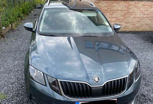 Skoda Octavia SW CNG 1.4 TSI Ambition DSG