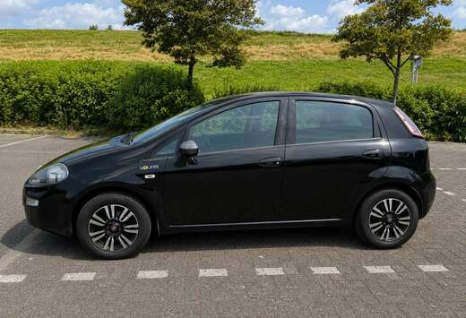 Fiat 1.2i Young