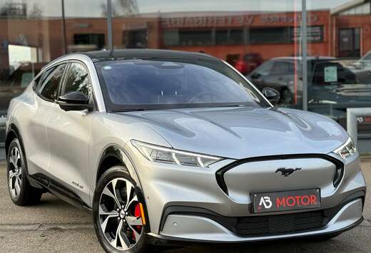 Ford 4X 99kWh TVAC Extended Range First Edition FULL