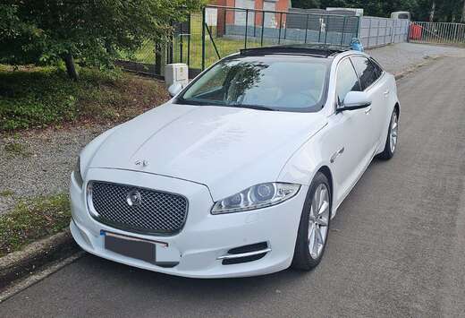 Jaguar XJ 3.0 V6 Diesel S Langversion Portfolio