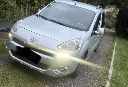 Peugeot Tepee 1.6 HDi Style