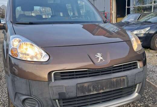 Peugeot Tepee 1.6 HDi FAP 75ch Access