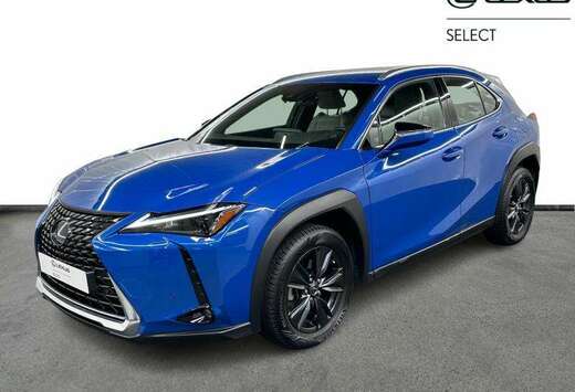 Lexus Business Line  camera  carplay  4Season tyres