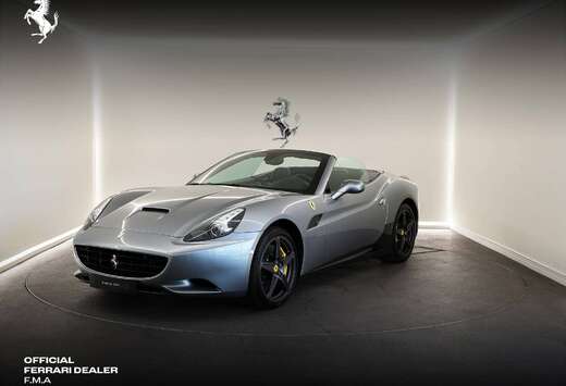 Ferrari Grigio Titanio / 1 Year Warranty