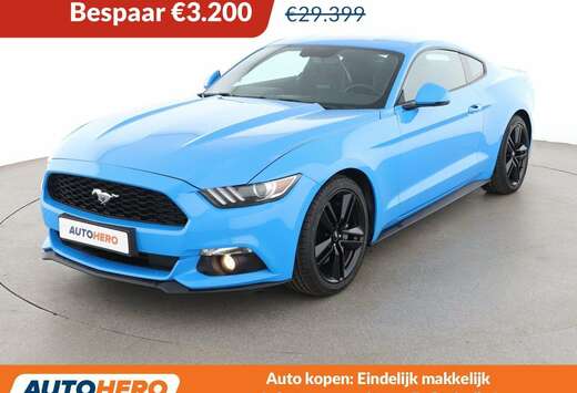 Ford 2.3 EcoBoost Basis