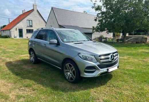 Mercedes-Benz GLE 350 d 4-Matic - Lichte vracht