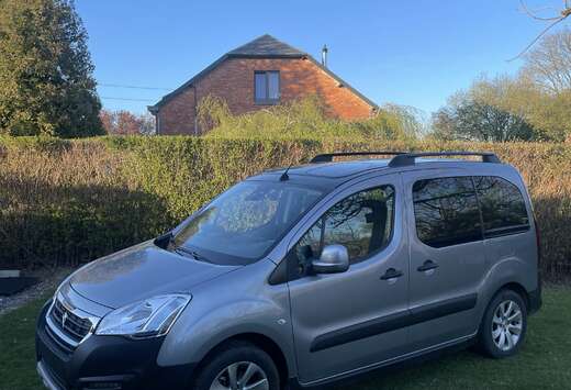 Peugeot Partner Tepee 1.6 BlueHDi Access