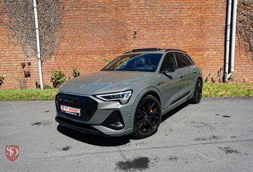 Audi 55 Black Edition *Open dak*Chronos Grey*95,1%SOH ...