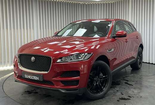Jaguar Pure