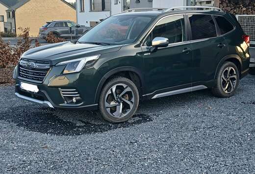 Subaru Forester 2.0i-S e-Boxer Luxury