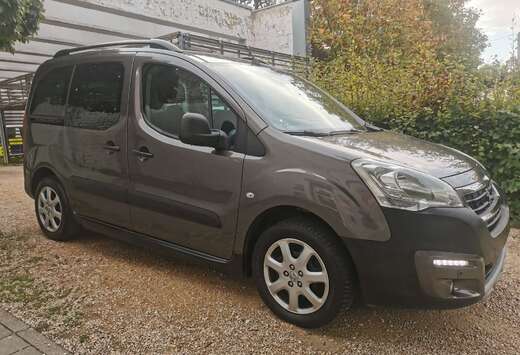 Peugeot Tepee 1.6 BlueHDi Active S