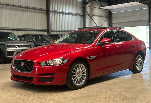 Jaguar XE 2.0 D E-Performance Pure