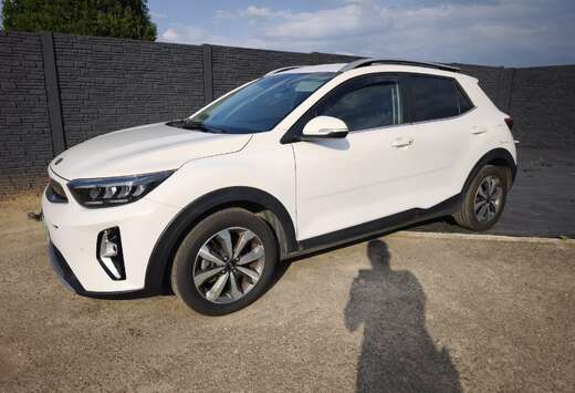 Kia 1.0 T-GDI 100 ch Prête à immatriculer Carpass