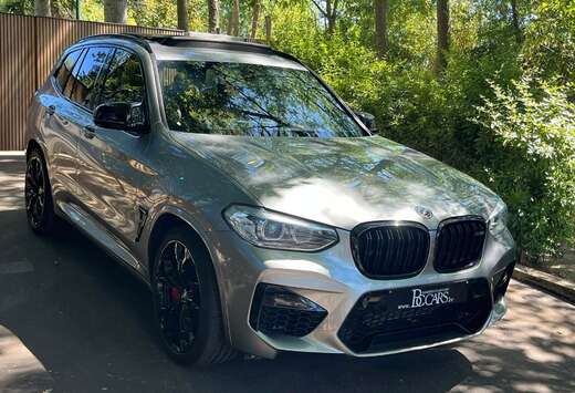 BMW Competition Lichte vracht-Pano-HK-Cam-21\